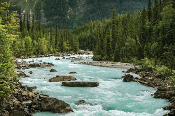 White Water Rapids