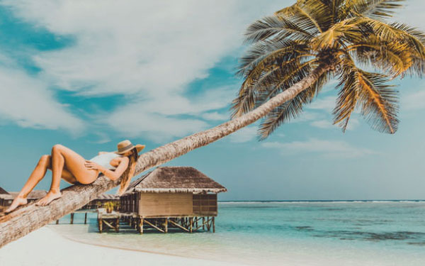 A young lady laying on a palm tree on a beach