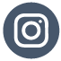 Instagram Icon