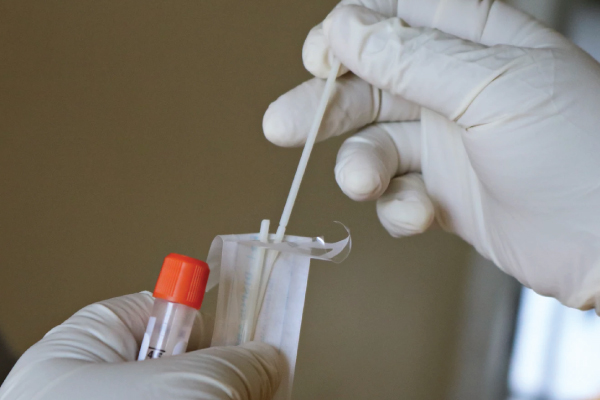 Pair of hands with gloves placing testing swabs in a medical tube