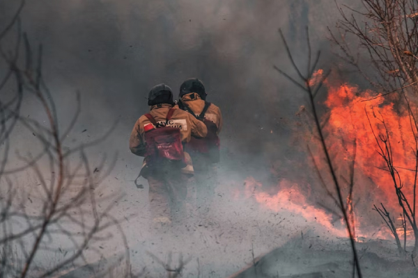 Forest Firefighters