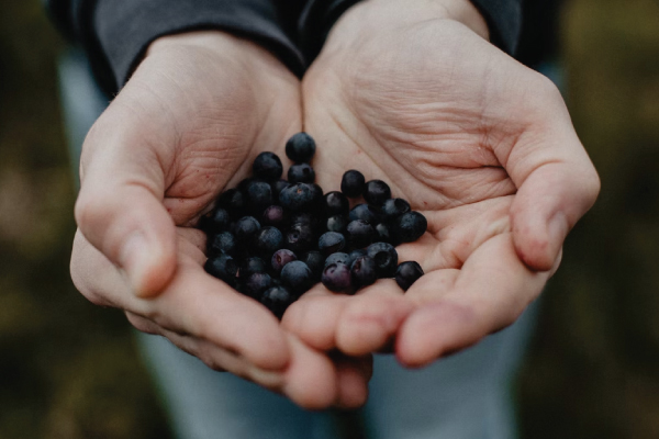 handful of blueberries