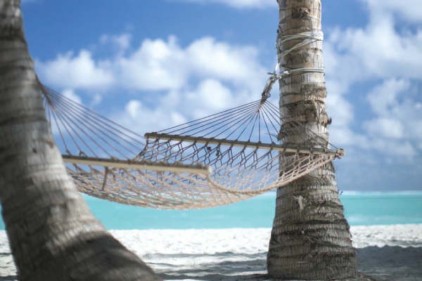 Beach Swing