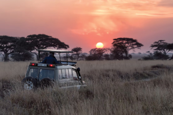 Safari in Africa